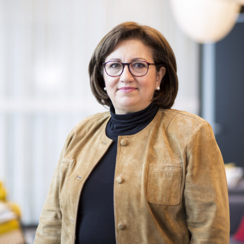 photo of Nozha Boujemaa